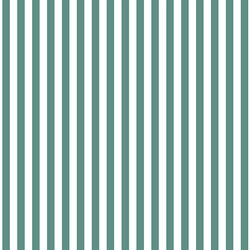 Dress Stripe in Agate