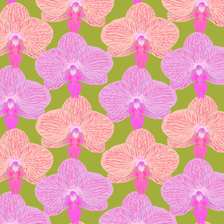 Orchid in Parrot Green