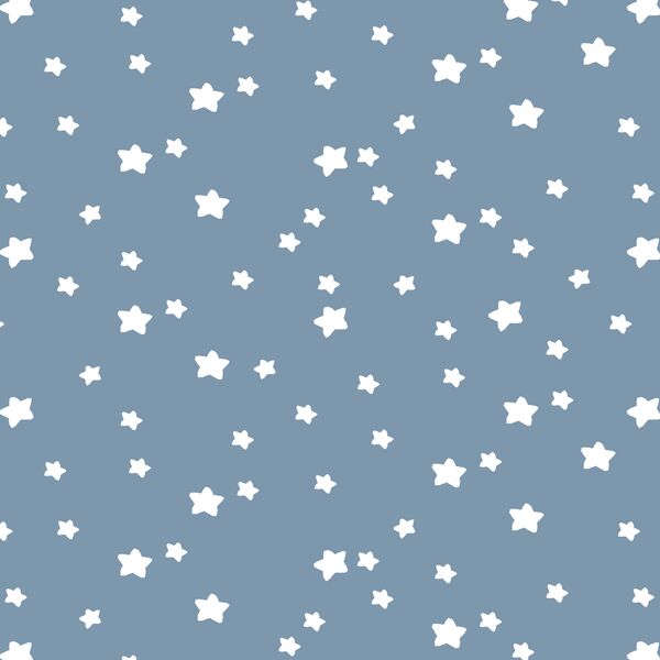 Star Light in Dusk