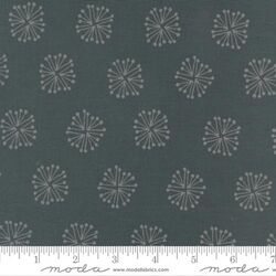 The Big Bang in Dark Blue