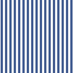 Dress Stripe in Blue Jay