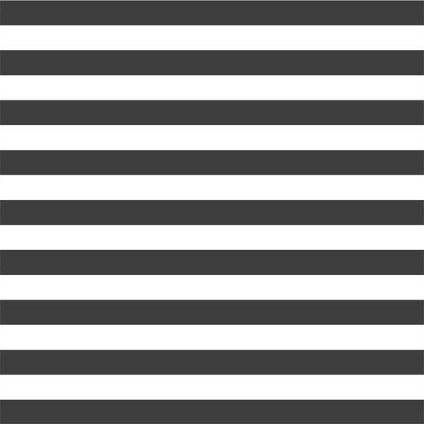 Horizontal Candy Stripe in Onyx