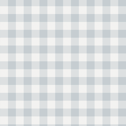 Gingham in Powder Blue