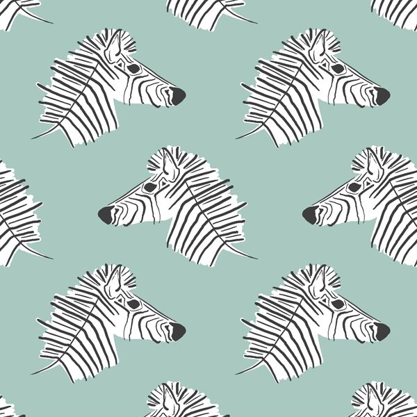 Burchell Zebra in Aspen