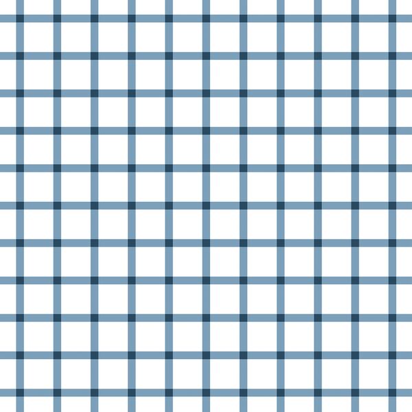 Liberty Gingham in Navy Blue on White