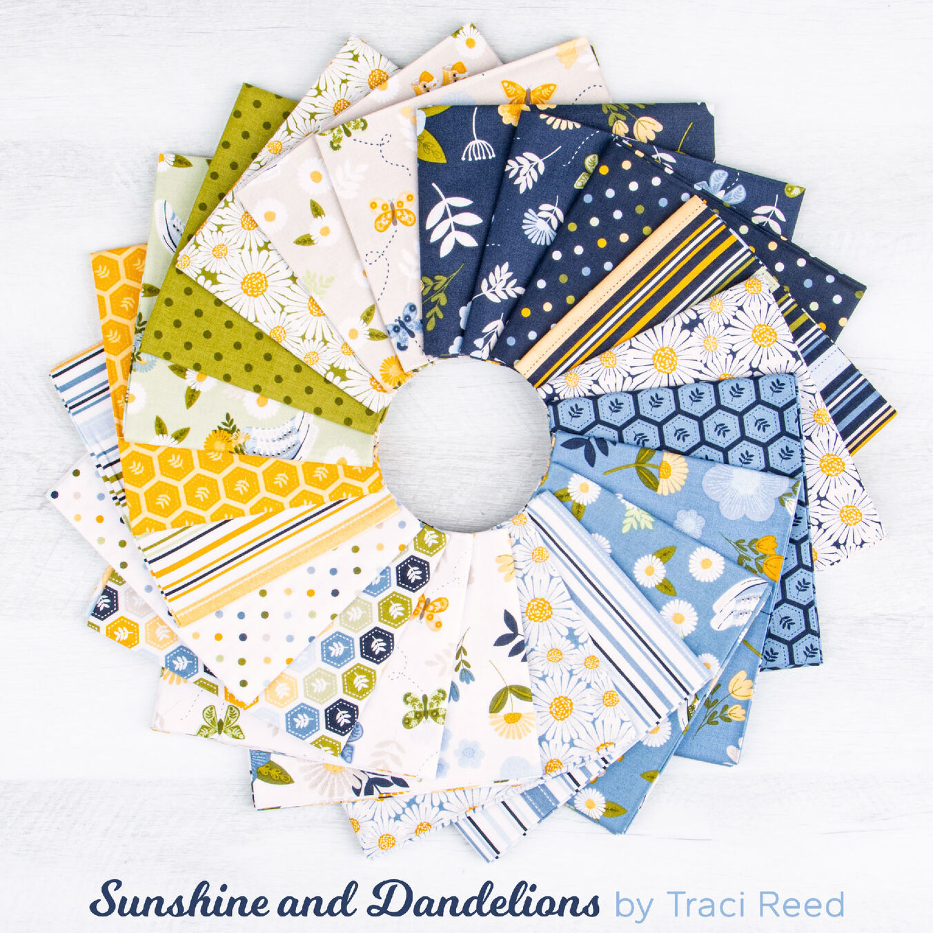 Sunshine and Dandelions Poster Image