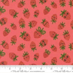 Strawberries in Pink