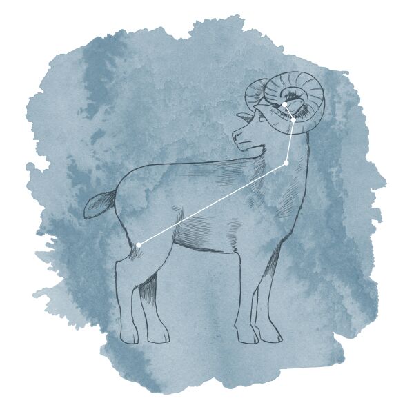 Aries Panel in Marine