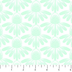 Coneflower in Mint