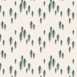 Winter Forest in Spruce