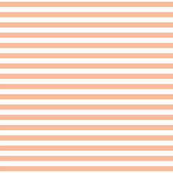 Meadow Stripe in Bright Apricot