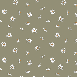 Scattered Daisies in Garden