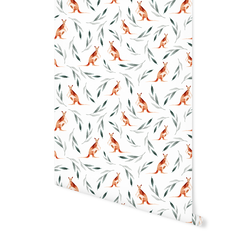 Kangaroos in White