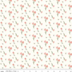 Tulips in Cream