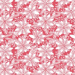Little Pointsettias in Passion