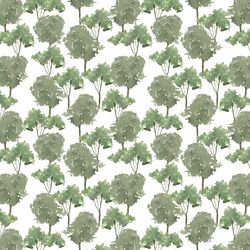 Treetops in Forest