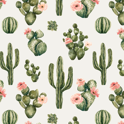 Blooming Desert in Cloud