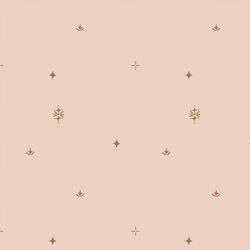Sahara Skies in Shell