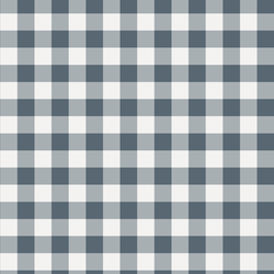 Gingham in Midnight Blue
