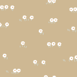 Small Daisy Field in Birch