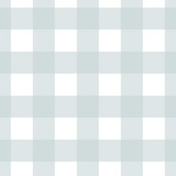 Large Gingham in Soft Sky