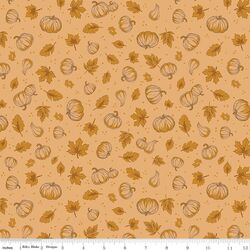 Pumpkins in Daisy