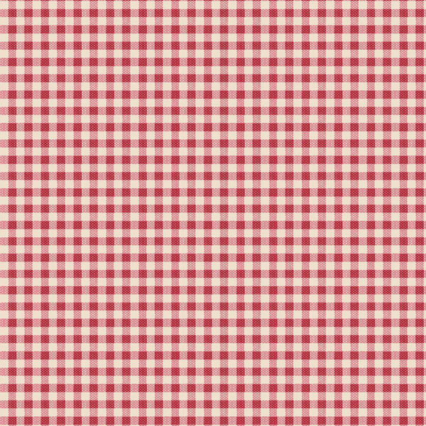 Gingham in Red