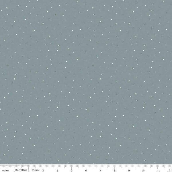 Dapple Dot in Storm