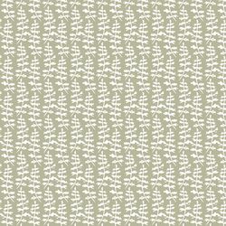 Fern in Sage