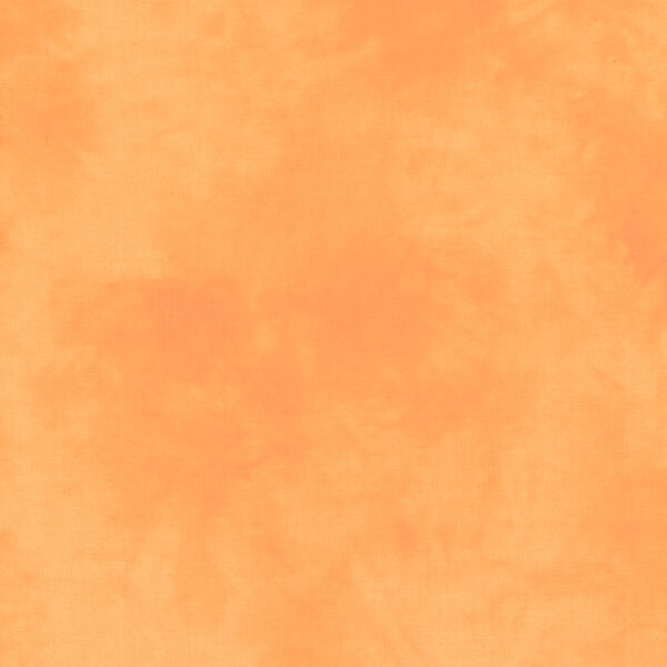 Palette in Orange Cream