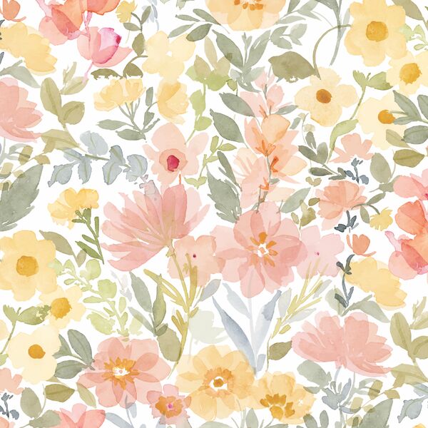 Large Afternoon Blooms in Peachy