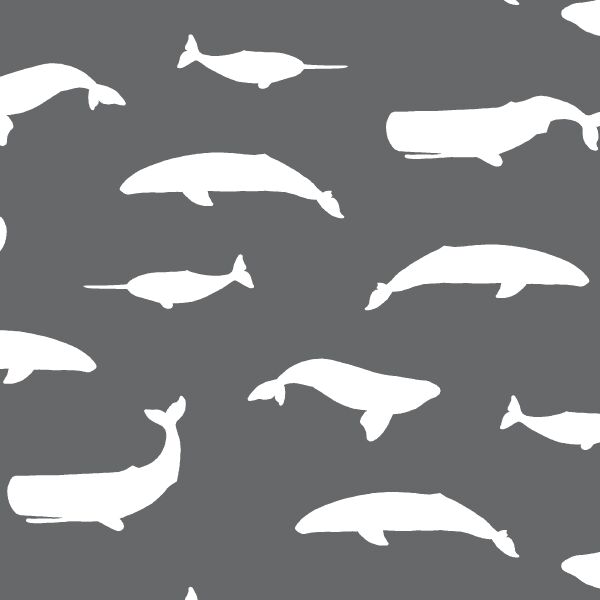 Whale Silhouette in Charcoal