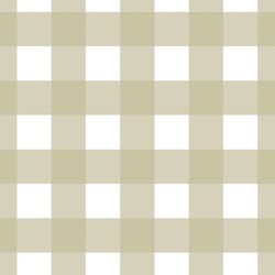 Large Gingham in Light Mossy Green
