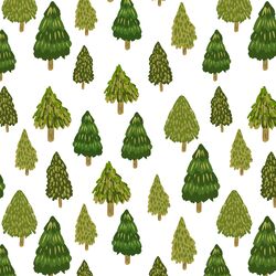 Forest in Pine