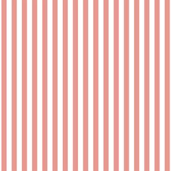 Dress Stripe in Tulip