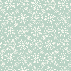 Snowflakes in Frost
