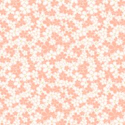 Sakura Blossoms in Sunrise