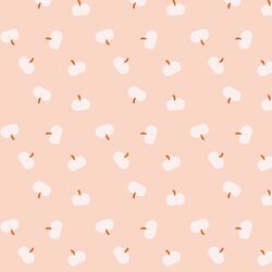 Mini Pumpkins in Shell Pink