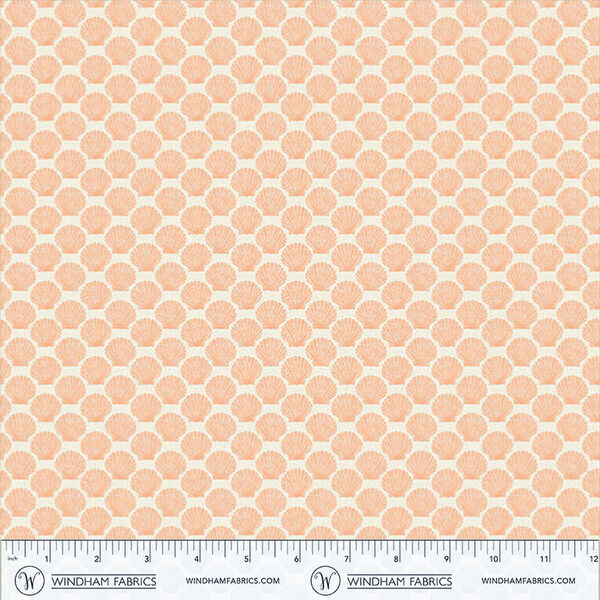 Shell in Coral
