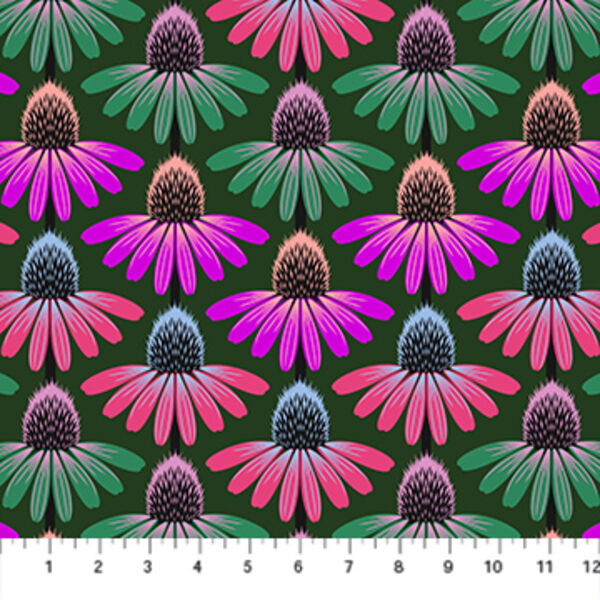 Echinacea Rhythm in Forest