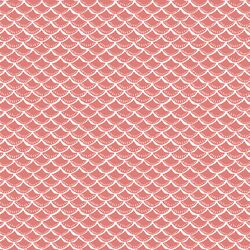 Scallop in Coral