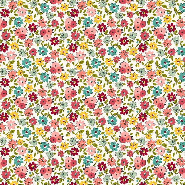 Daisy Garden in Blooming