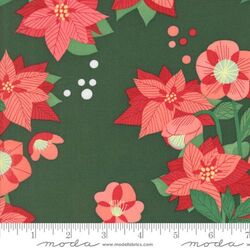 Poinsettia in Pine