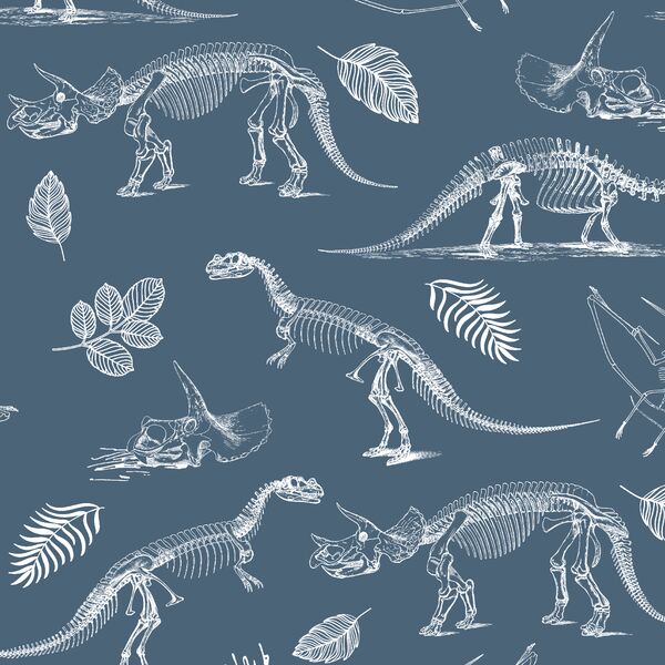 Fossils in Twilight