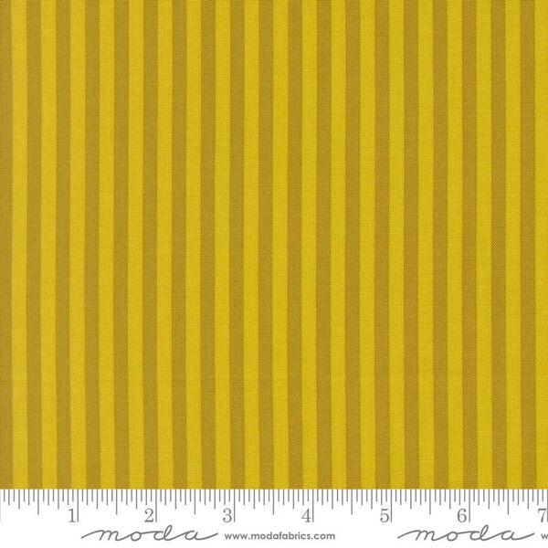 Stripe in Citrine