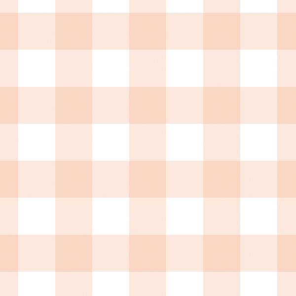 Large Gingham in Peaches