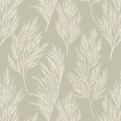Pampas Grass in Summer Sage