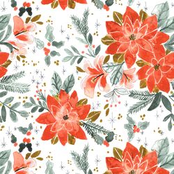 Poinsettia Splendor in White