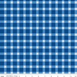 Plaid in Blue