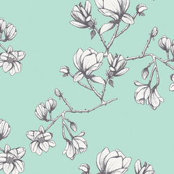 Magnolia Study in Fresh